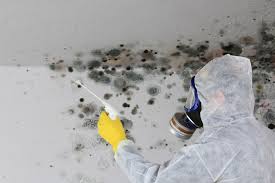 Eureka, MO Mold Removal & Remediation Company